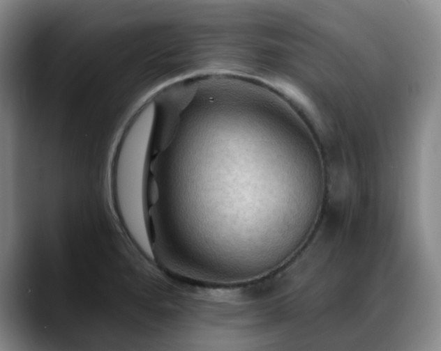 X0000088861280200706151729