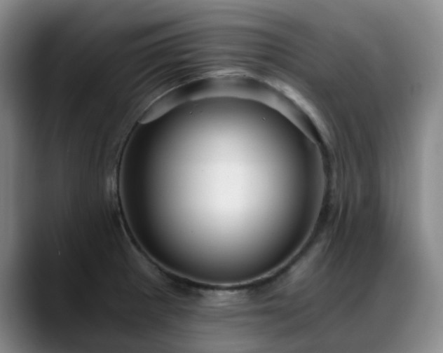 X0000088861281200706151729
