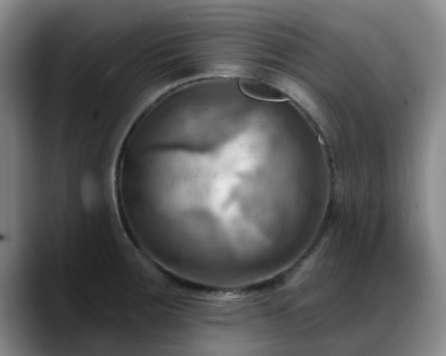 X0000088861283200706151729