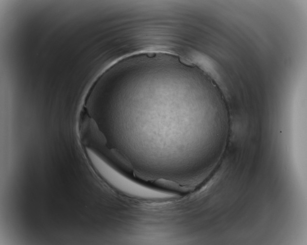 X0000088861284200706151729