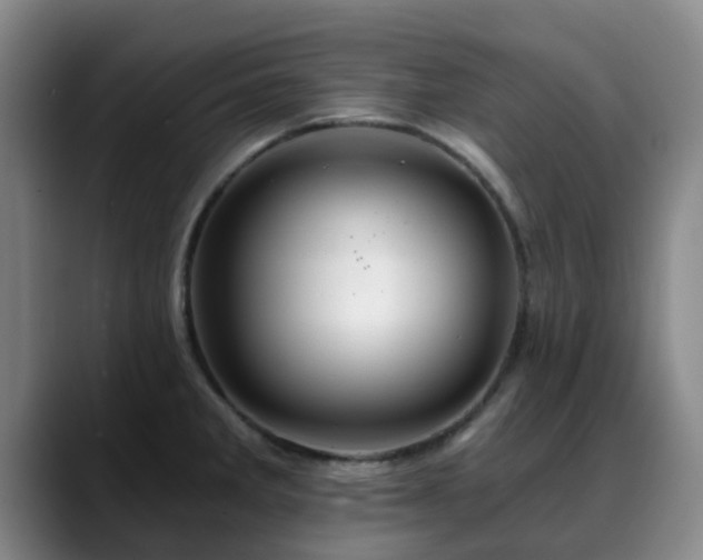 X0000088861285200706151729