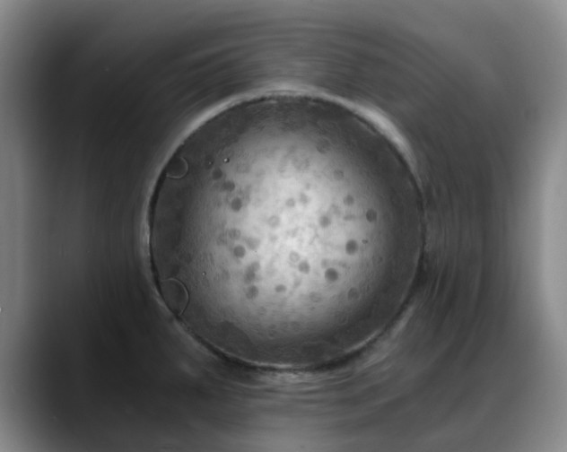 X0000088861287200706151729