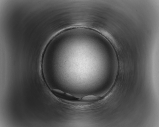 X0000088861288200706151729