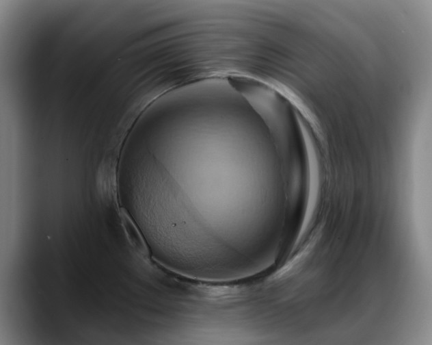 X0000088861289200706151729