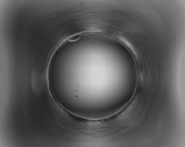 X0000088861291200706151729