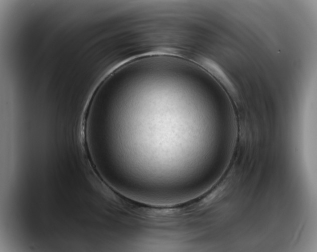 X0000088861292200706151729