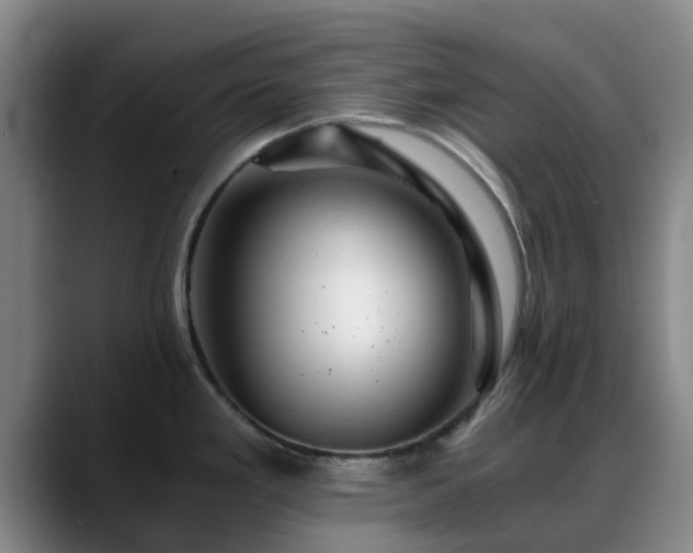 X0000088861293200706151729