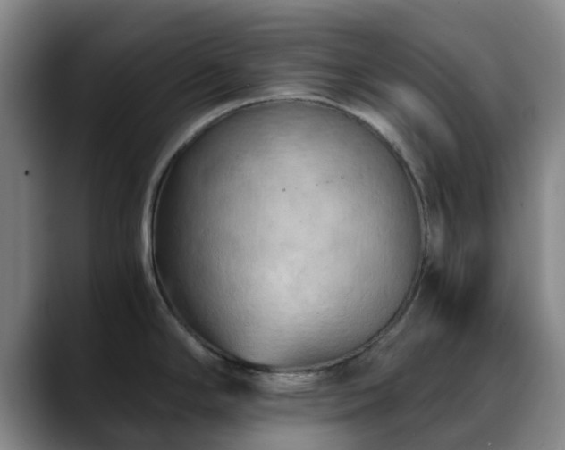 X0000088861294200706151729