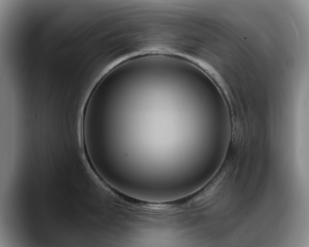 X0000088861295200706151729