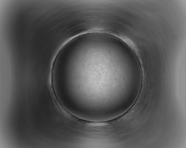 X0000088861296200706151729