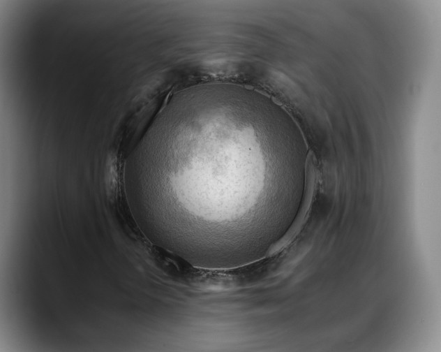 X0000088861298200706151728