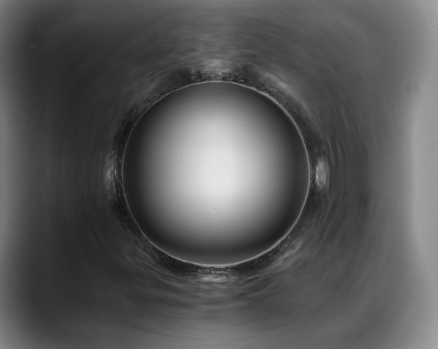 X0000088861299200706151728