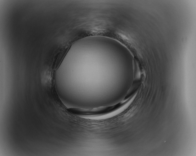 X0000088861300200706151728