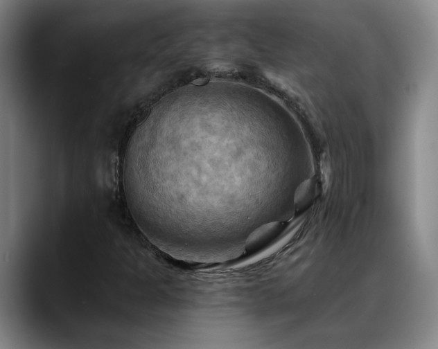 X0000088861301200706151728
