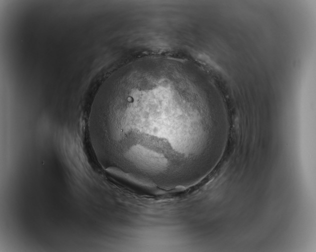 X0000088861302200706151728