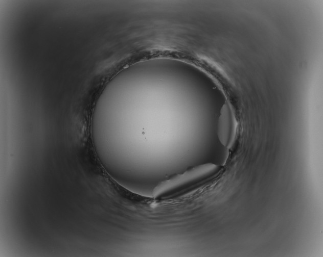 X0000088861303200706151728