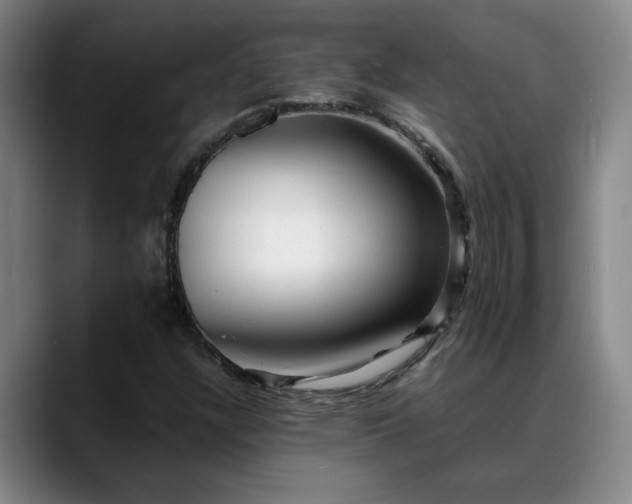 X0000088861304200706151728