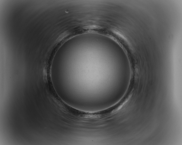X0000088861305200706151728