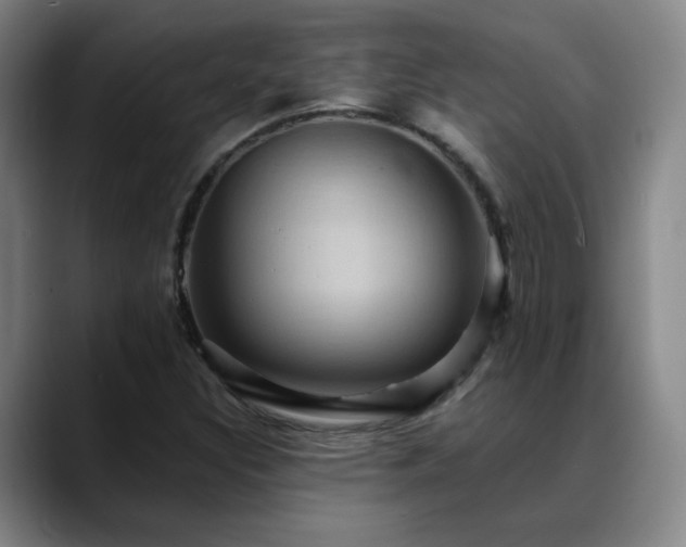 X0000088861308200706151728