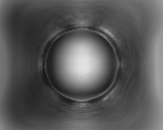 X0000088861309200706151728
