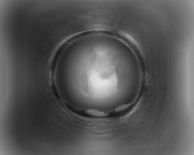 X0000088861310200706151728