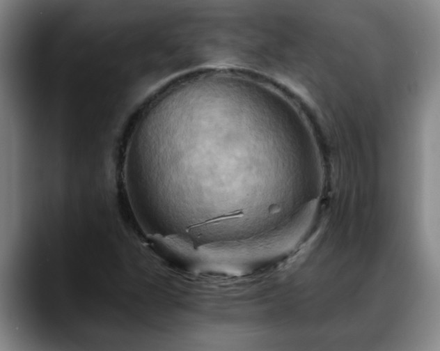 X0000088861311200706151728