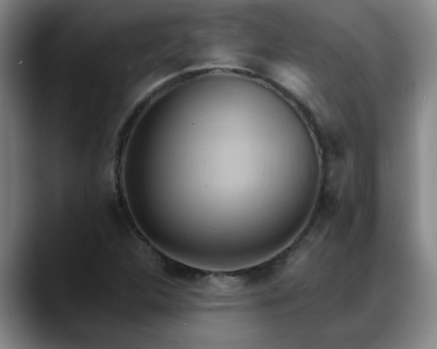 X0000088861312200706151728