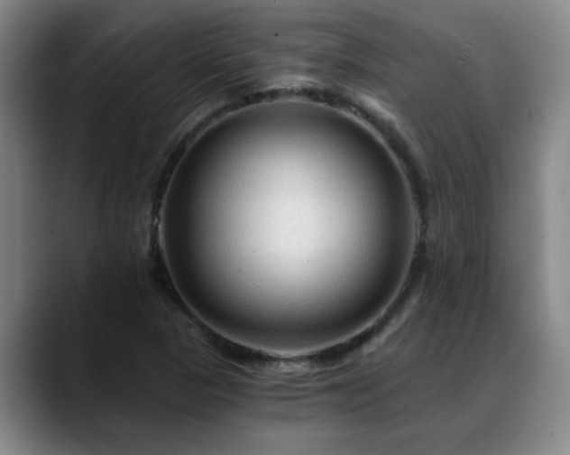 X0000088861313200706151728