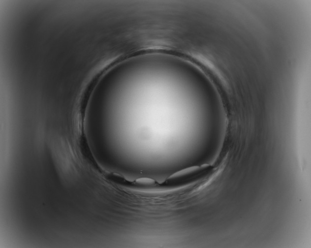 X0000088861317200706151728