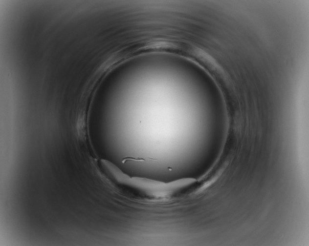 X0000088861321200706151729
