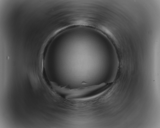 X0000088861323200706151729