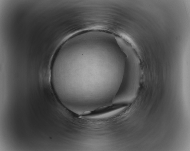 X0000088861324200706151729