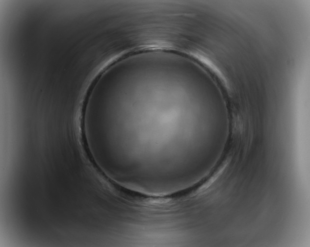 X0000088861325200706151729