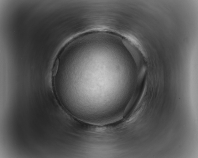 X0000088861326200706151729