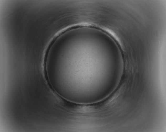 X0000088861327200706151729