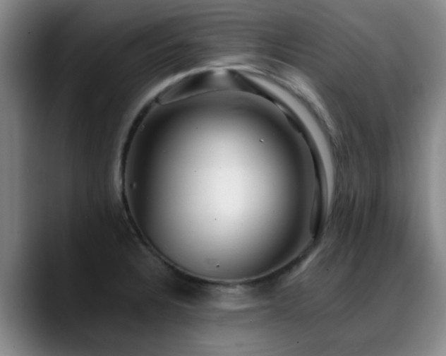 X0000088861328200706151729