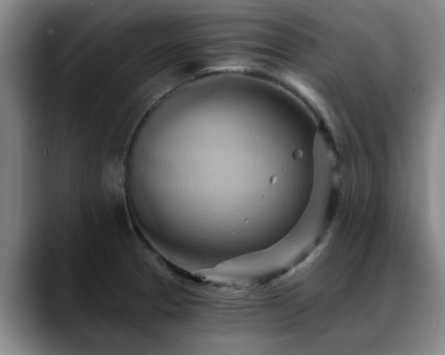 X0000088861329200706151729