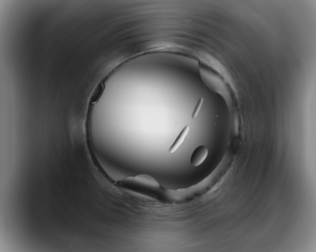 X0000088861330200706151729