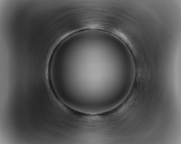 X0000088861331200706151729