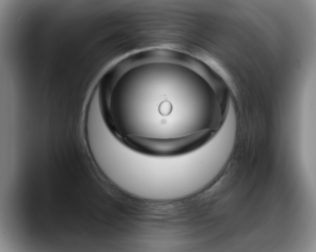 X0000088861332200706151729