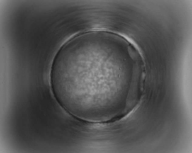 X0000088861333200706151729