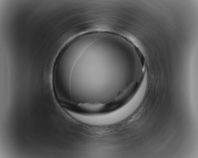 X0000088861334200706151729