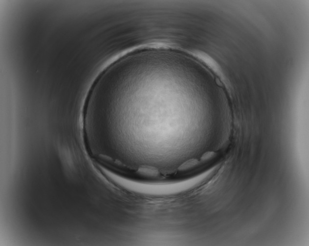 X0000088861335200706151729