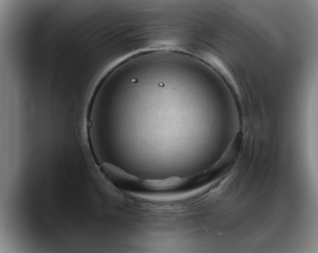 X0000088861336200706151729