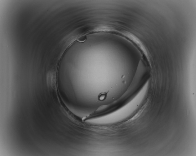 X0000088861337200706151729