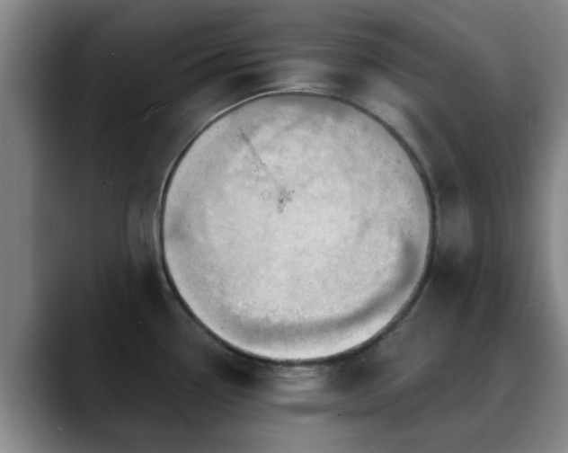 X0000088861338200706151729