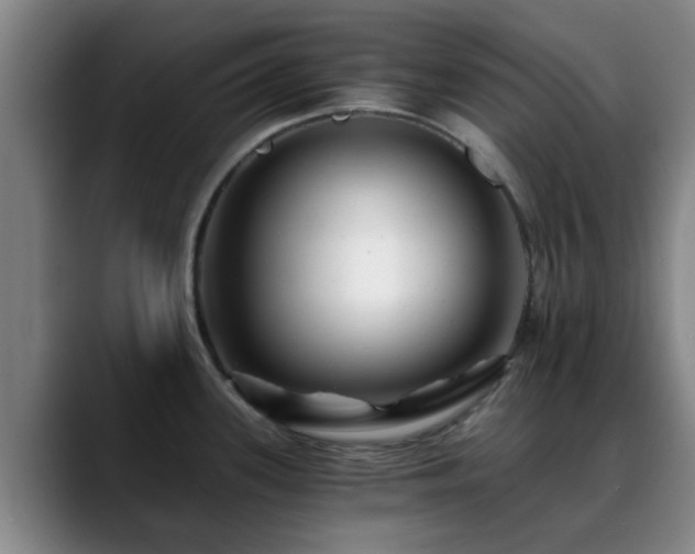 X0000088861339200706151729