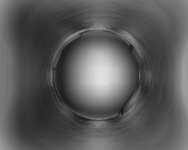 X0000088861340200706151729