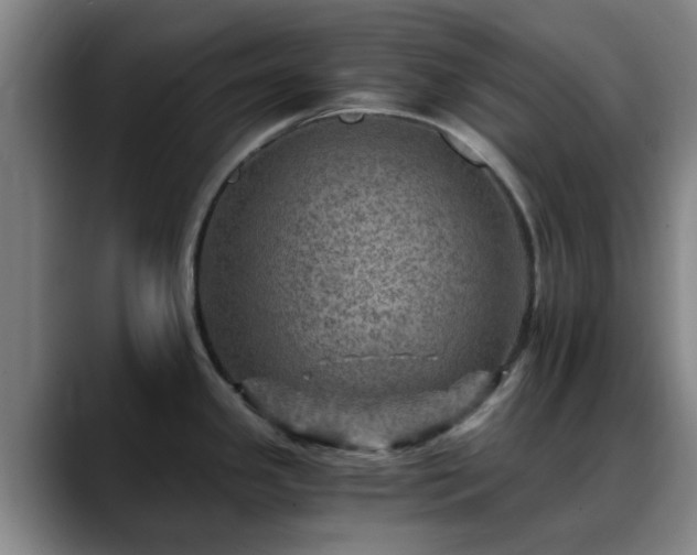 X0000088861341200706151729