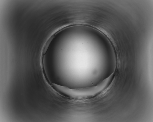 X0000088861342200706151729